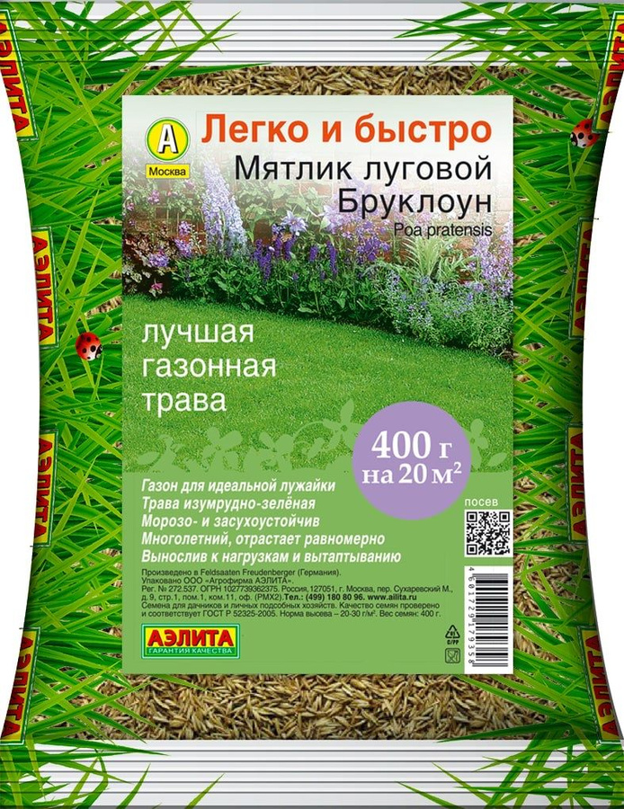 Мятлик луговой для газона. Райграс пастбищный для газона. Овсяница луговая (festuca pratensis). Мятлик луговой сорняк. Мятлик луговой для газона.
