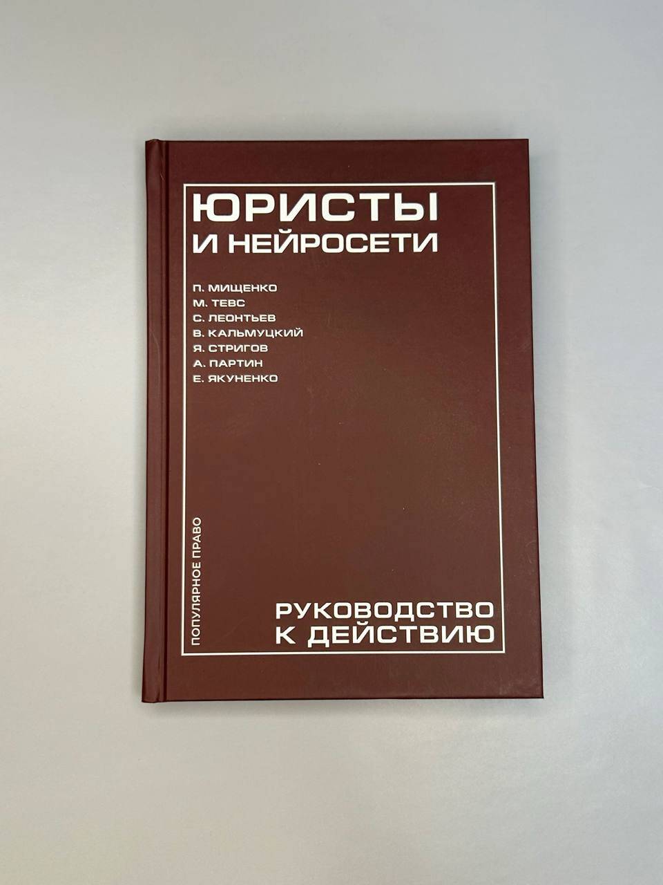 Юристы и нейросети. Руководство к действию | Lawyers and Neural Networks: A Practical Guide - Ozon image 4