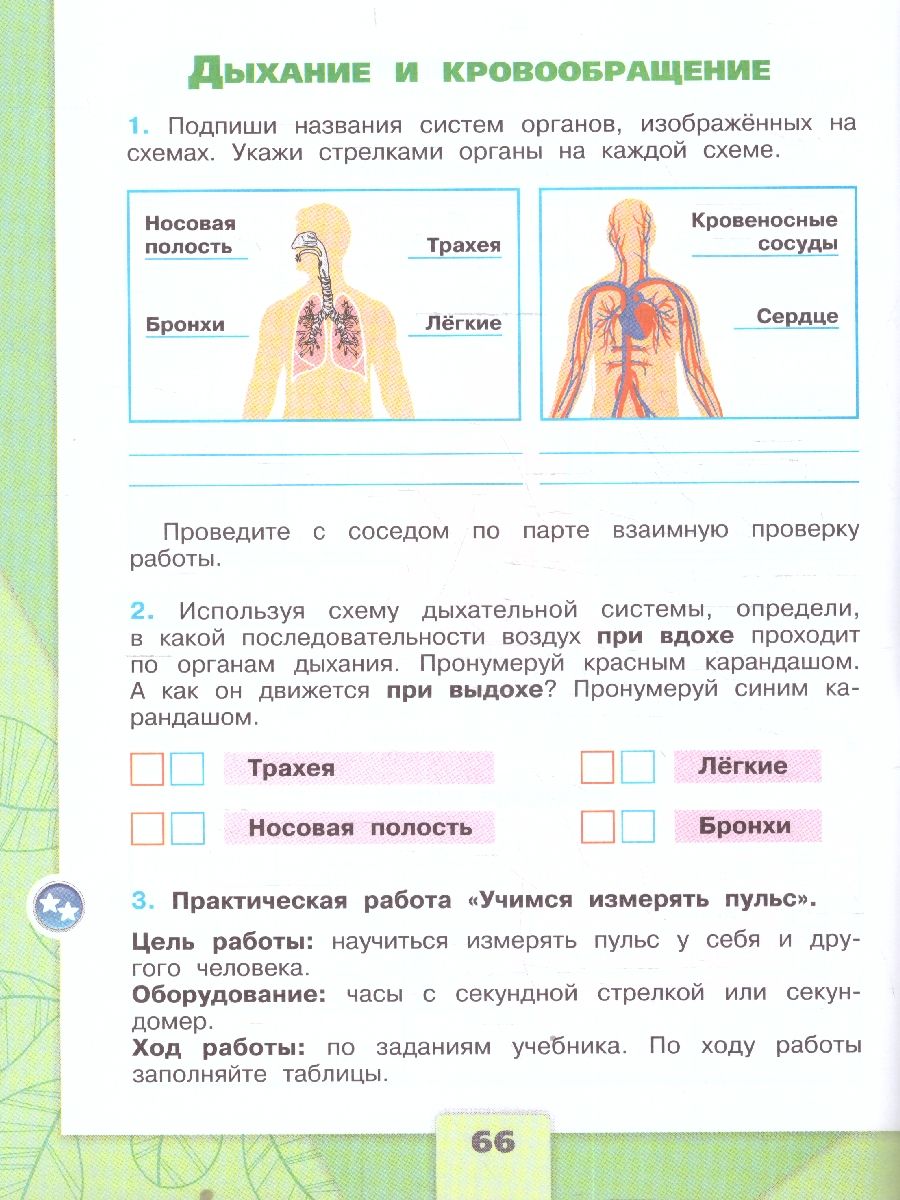 Окружающий мир 3 класс Рабочая тетрадь Комплект в 2-х частях УМК Плешакова | Reference Book - Ozon image 4