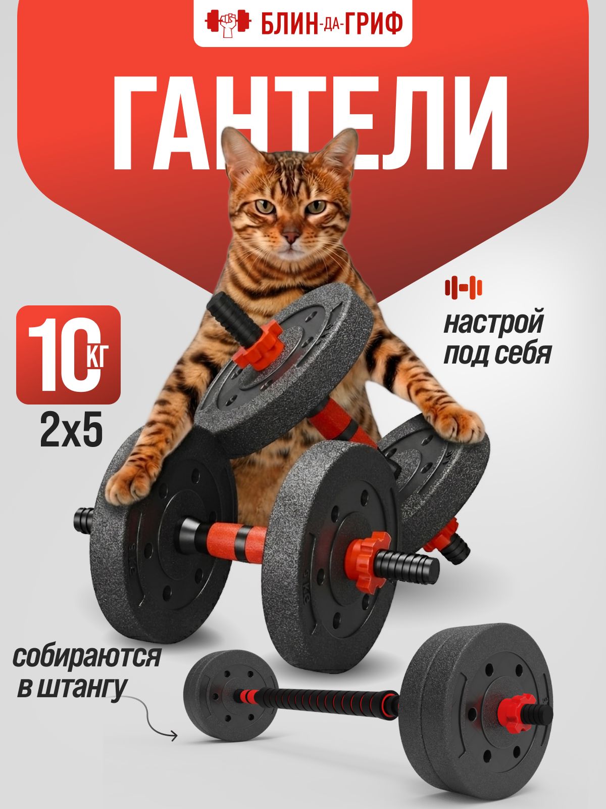 Гантели разборные 10 кг, 2 шт по 5 кг + Штанга