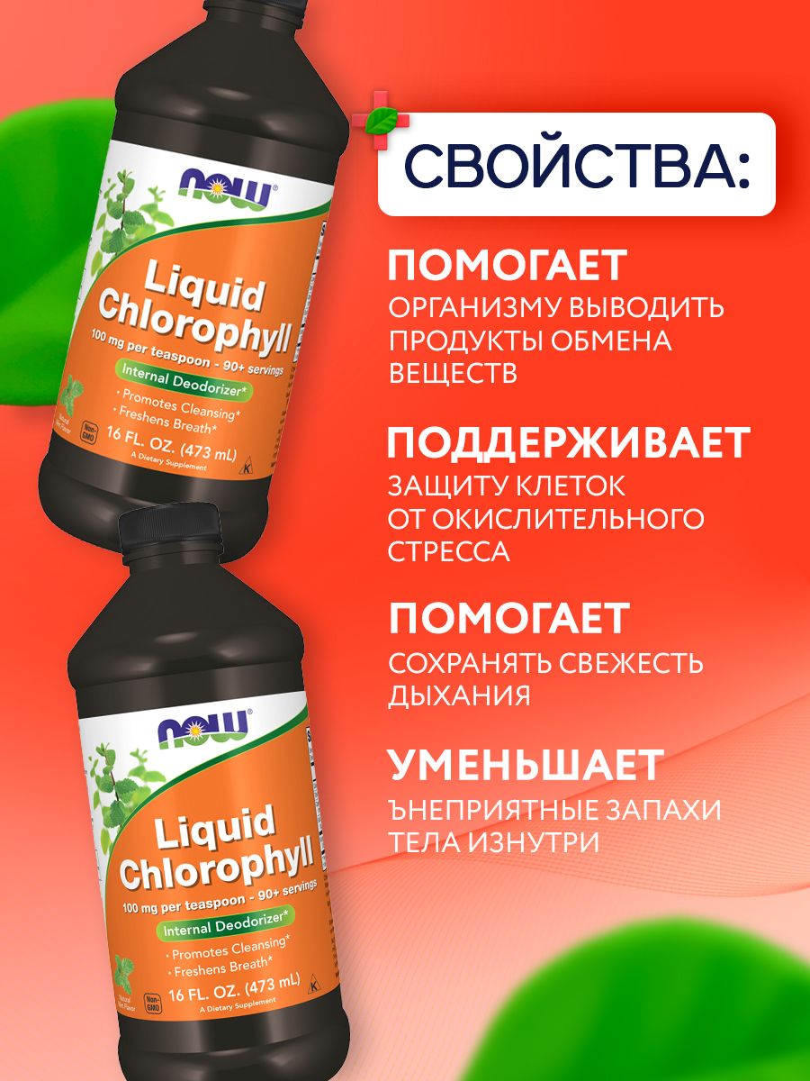 Now, LIQ CHLOROPHYLL & MINT 16 OZ