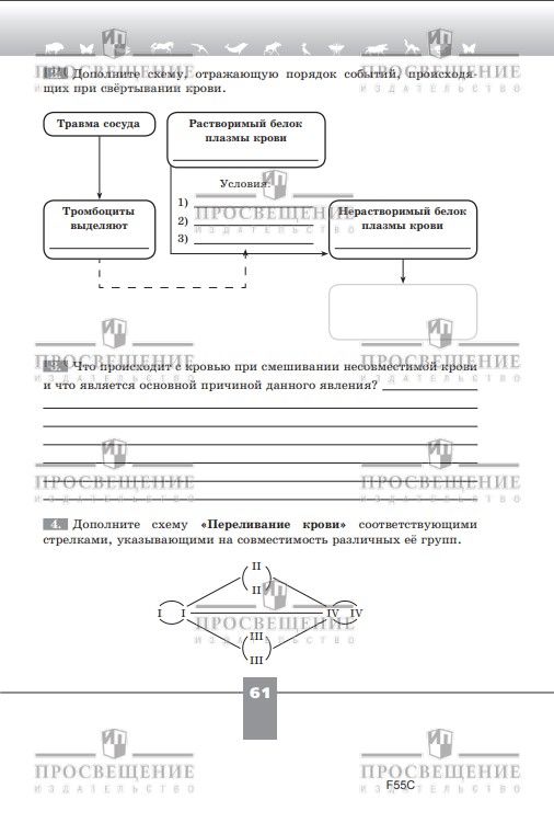 Биология. 9 класс. Базовый уровень. Рабочая тетрадь | Reference Book - Ozon image 4