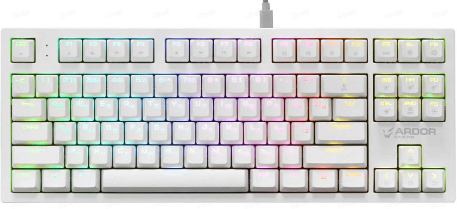 Игровая механическая клавиатура ARDOR GAMING Immortality TKL
