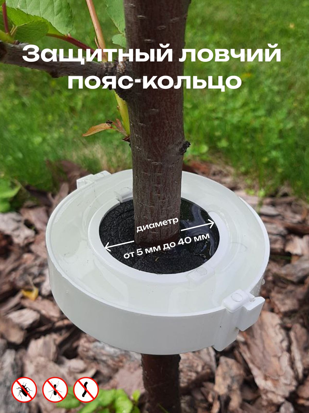 Инструкция по установке защитного ловчего пояса для плодовых деревьев