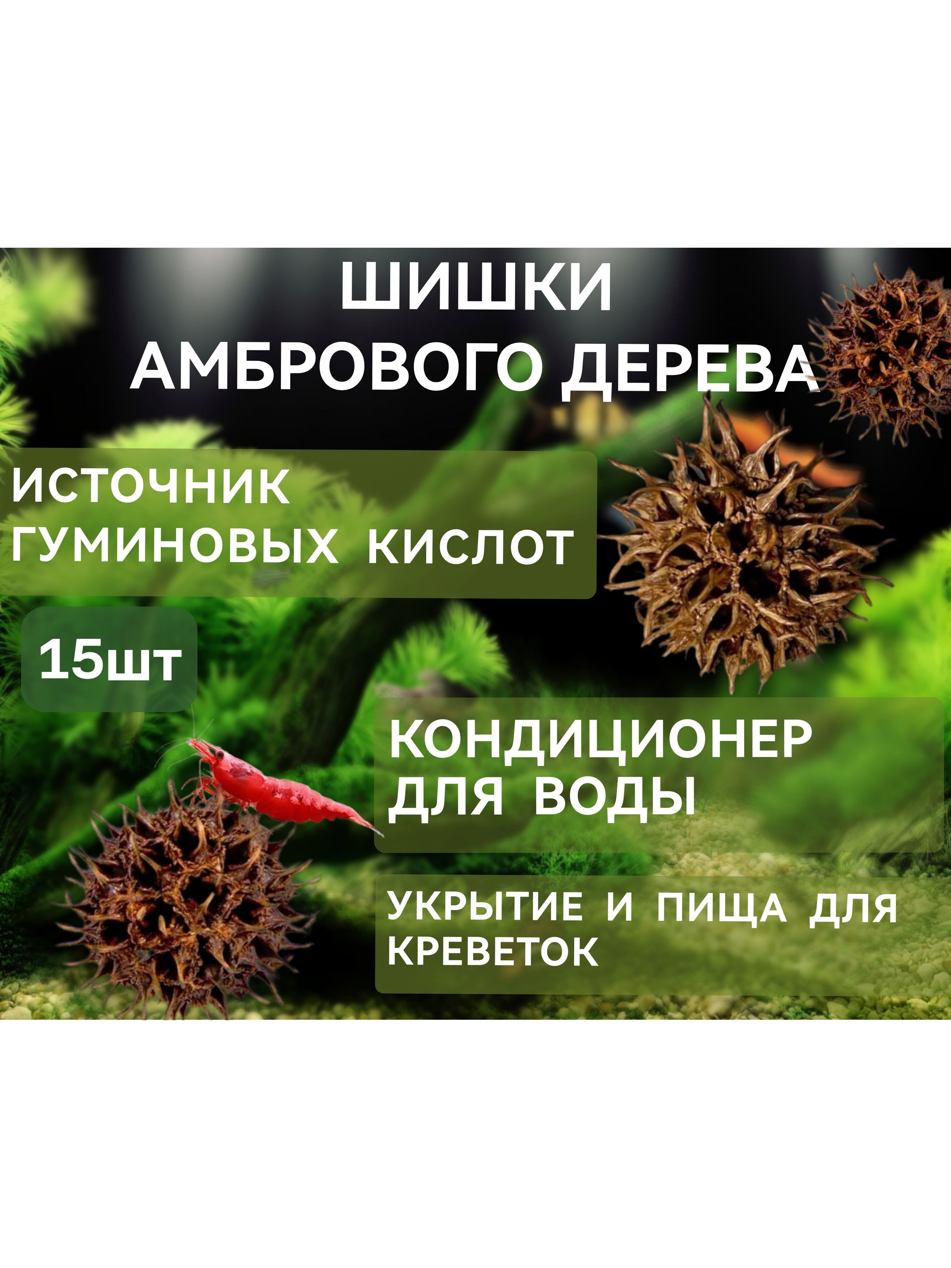 Шишкиамбровогодерева