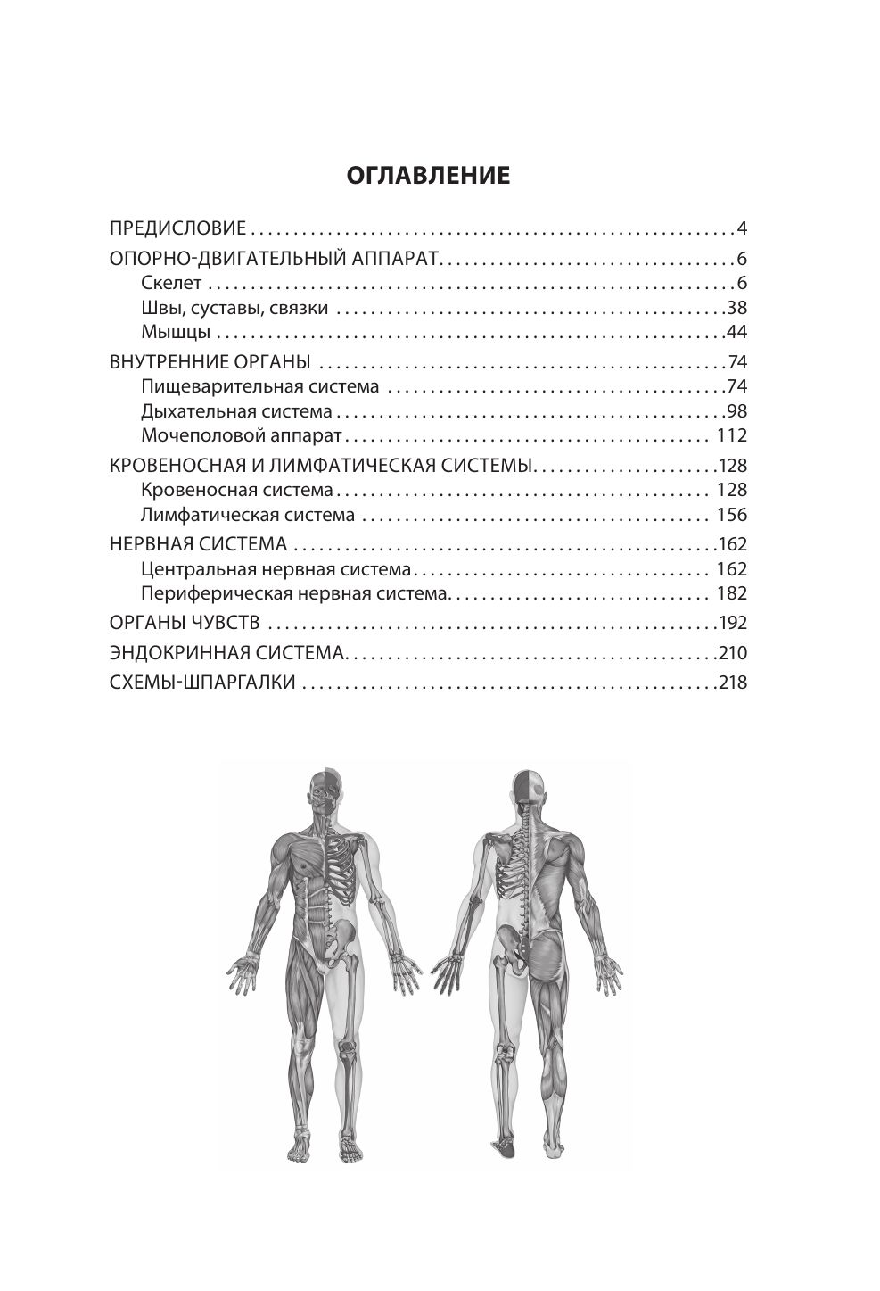 Анатомия человека. Компактный атлас-раскраска | Coloring Book - Ozon image 5