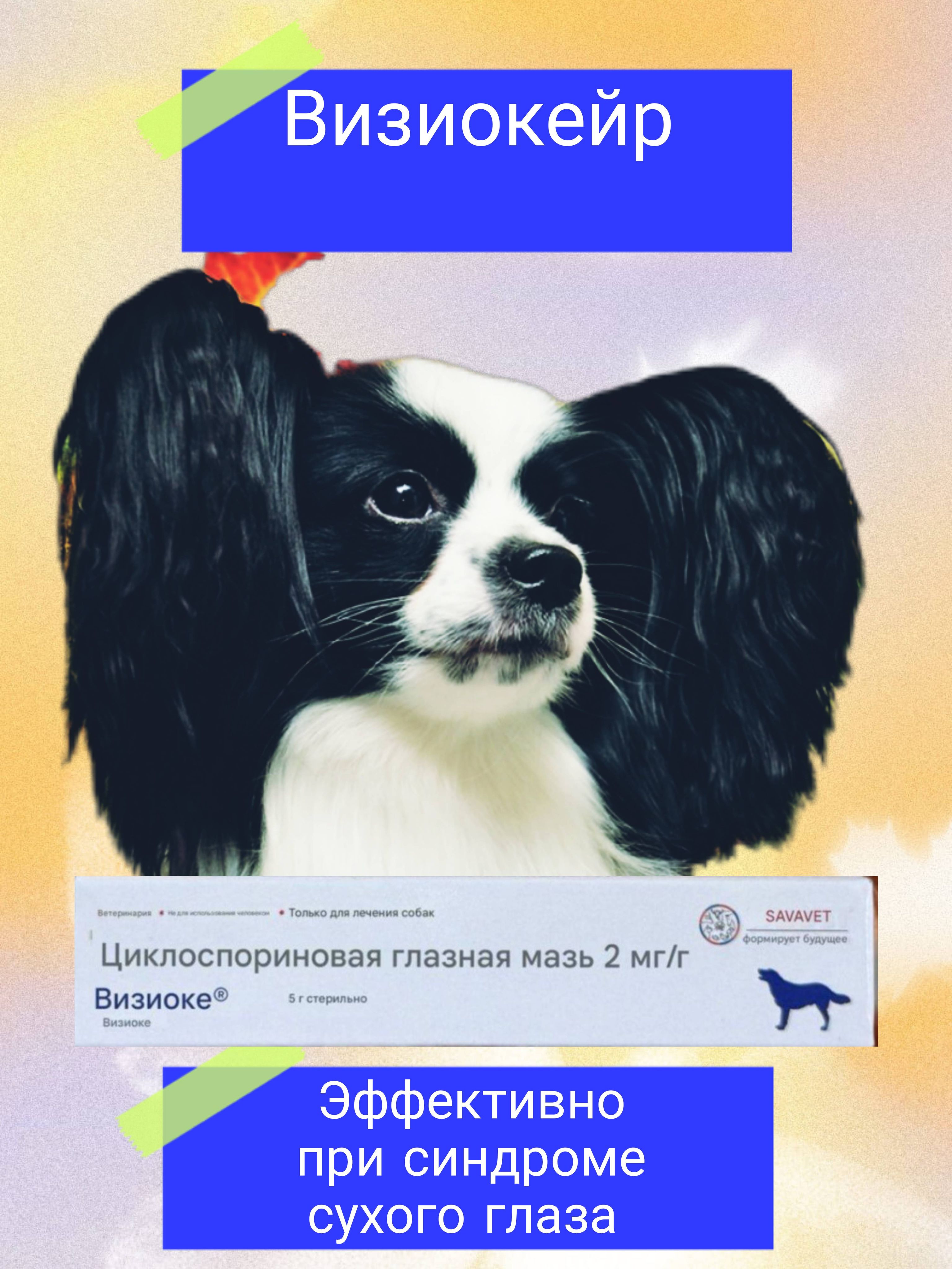 Визиокейр (optimmun синдром сухого глаза) купить на OZON по низкой