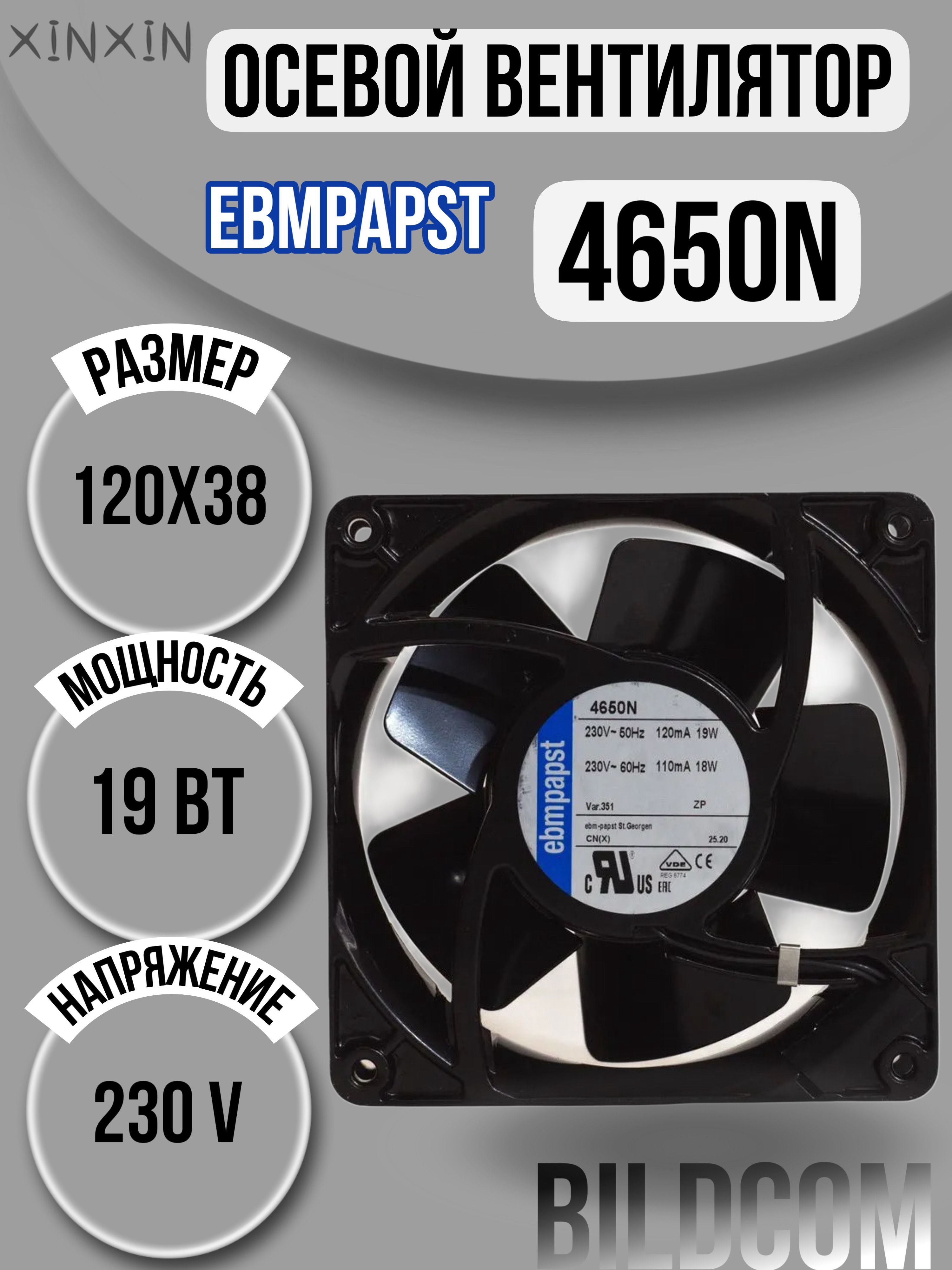 238503_5