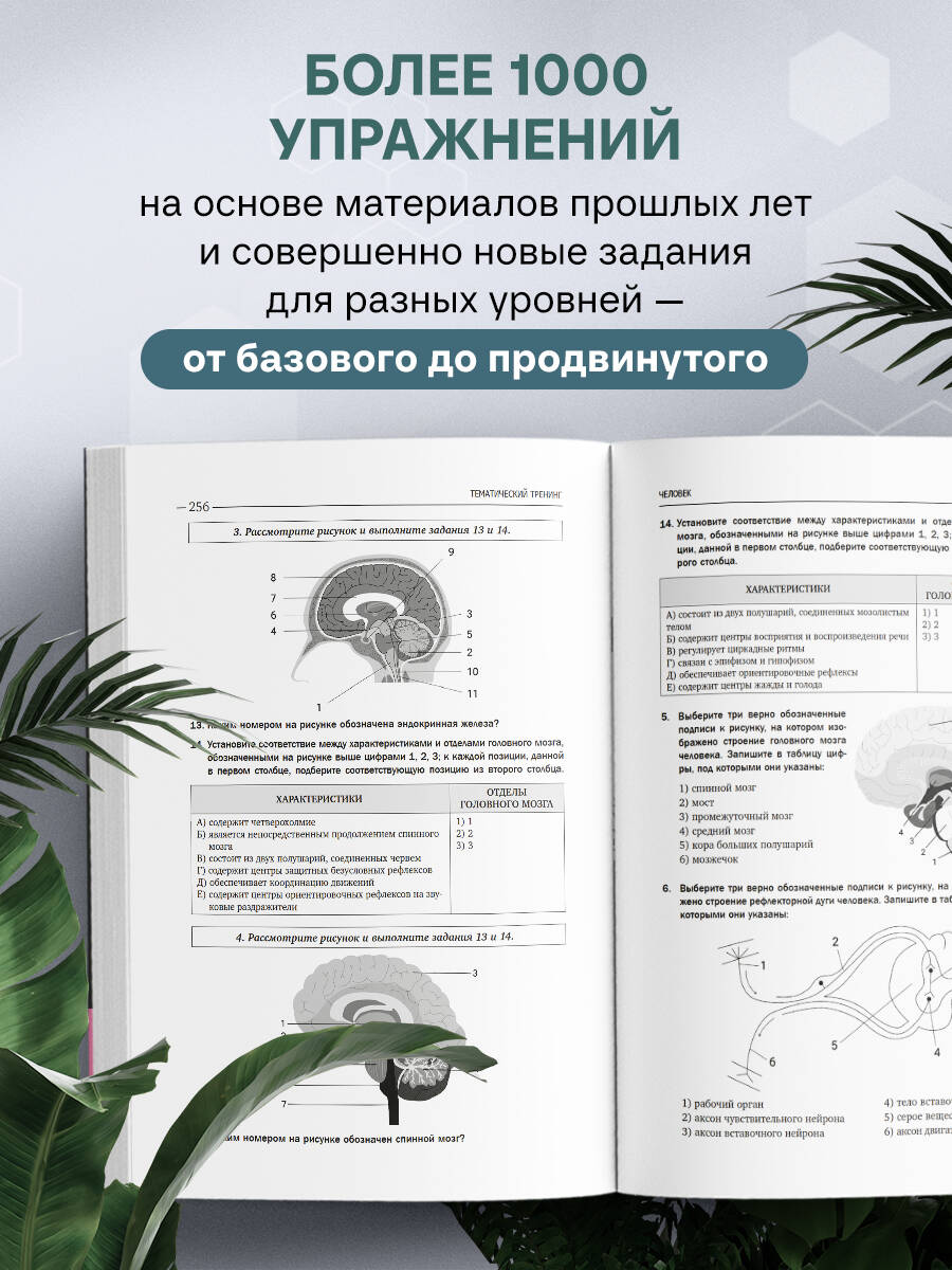 ЕГЭ по биологии. Тематический тренинг | Reference Book - Ozon image 1