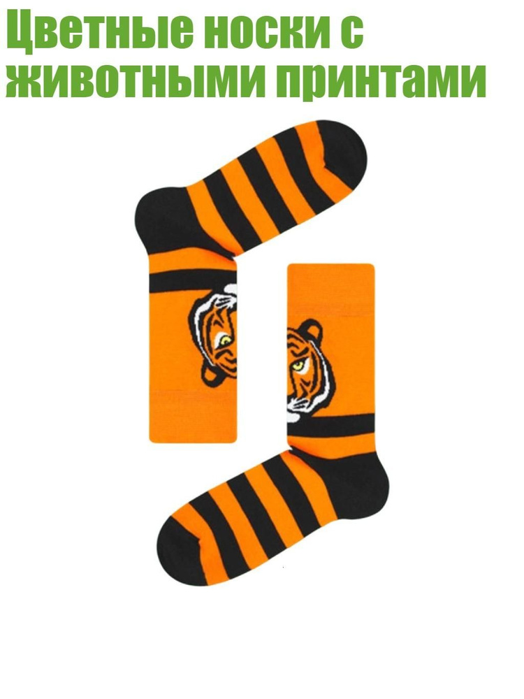 Колготки #1