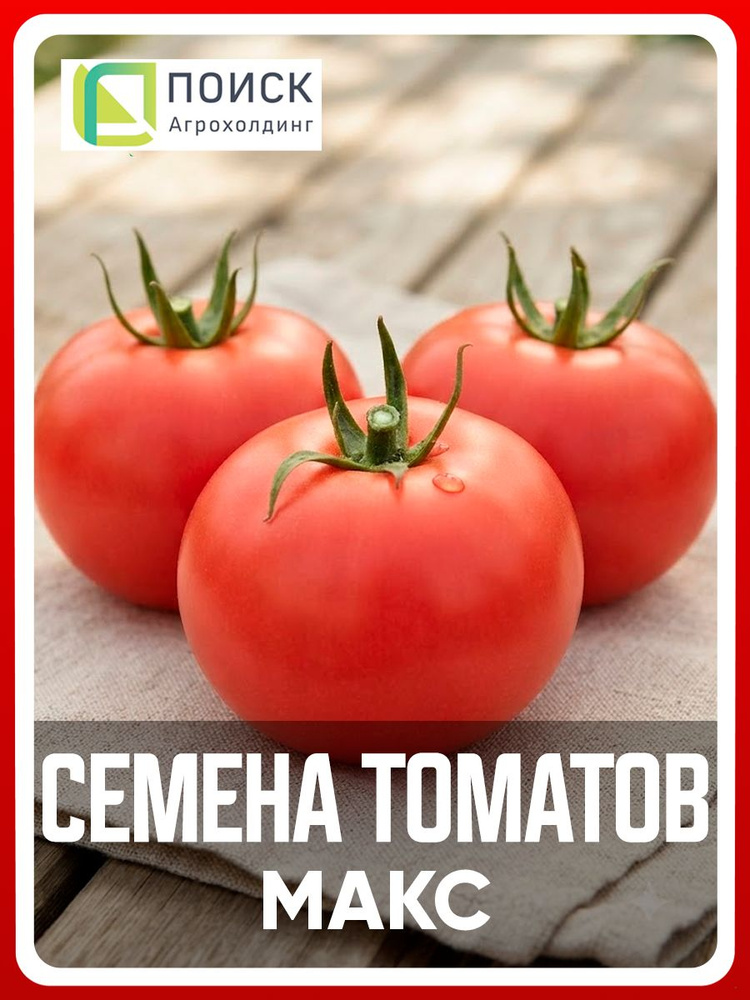 Семена томатов "Макс" 0,1 гр, для дома, дачи и огорода, в открытый грунт, в контейнер, на рассаду, помидоры #1