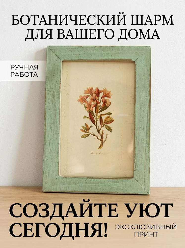Фоторамка #1