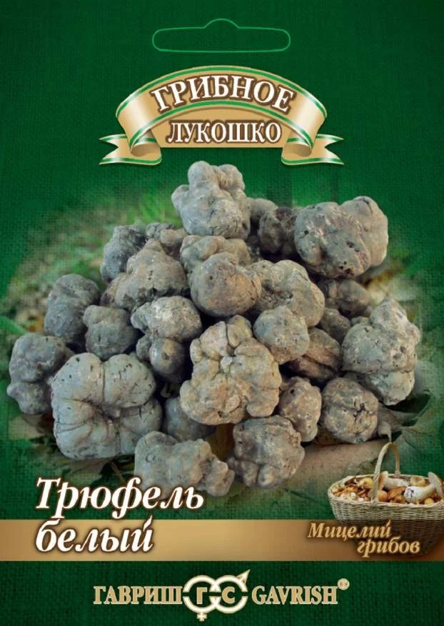Гавриш Семена #1
