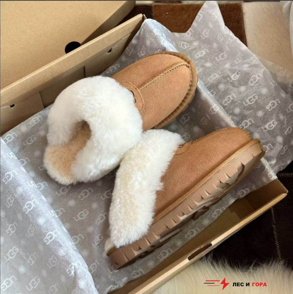 Тапочки UGG #1