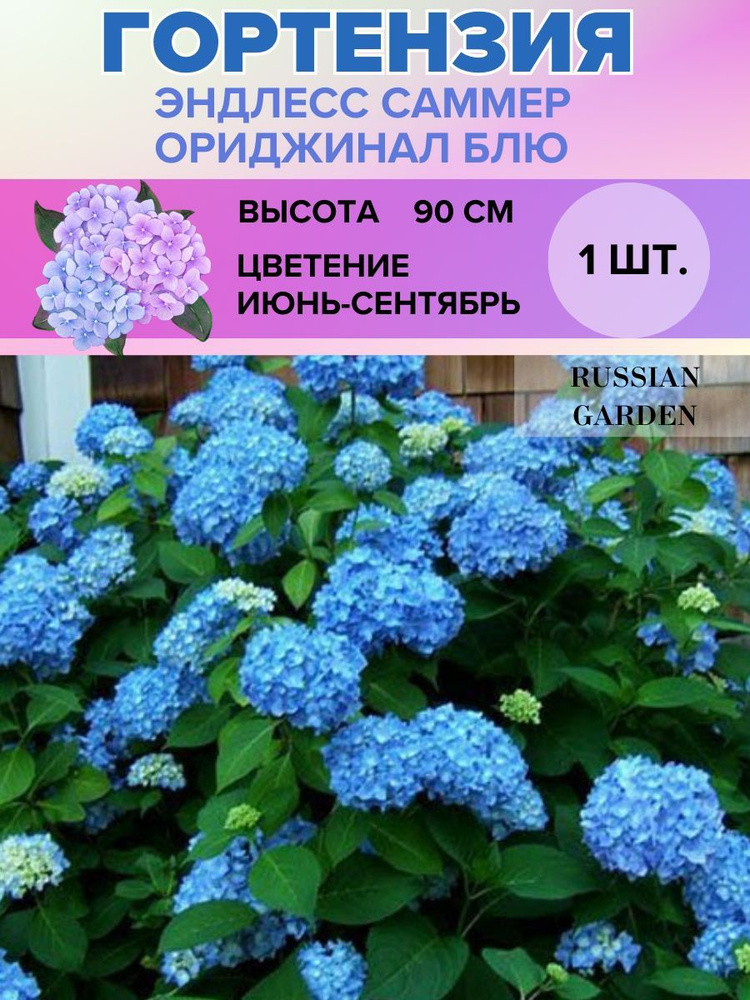 Russian Garden Клубни,0.3кг #1