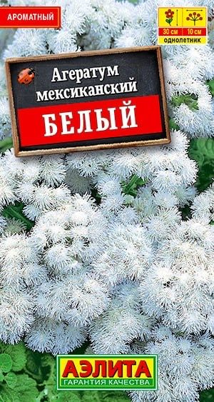 АГЕРАТУМ МЕКСИКАНСКИЙ БЕЛЫЙ. Семена. Длительное цветение, минимум ухода и обилие крупных соцветий мечта #1