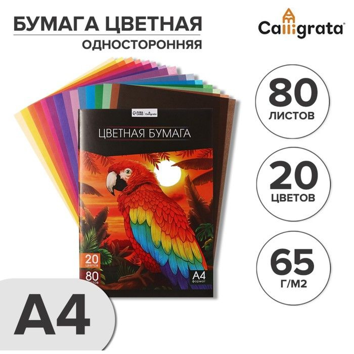 Бумага цветная А4, 80 листов, 20 цветов Calligrata TOP, офсет, в папке  #1