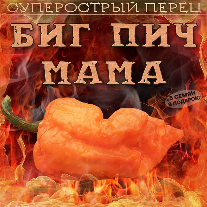 Суперострый перец Биг пич мама Big Peach Mama семена 7 шт. + 5 шт. другого сорта в подарок  #1