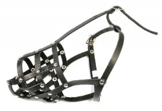 Зоотехнология Намордник сетка N1, для породы той-терьера - купить с ...