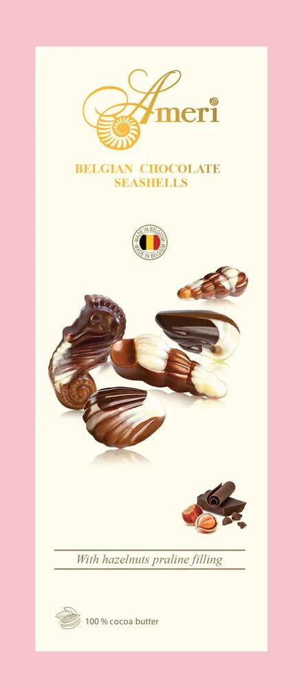 Шоколадные конфеты-ракушки Ameri, с начинкой пралине, 125 г #1