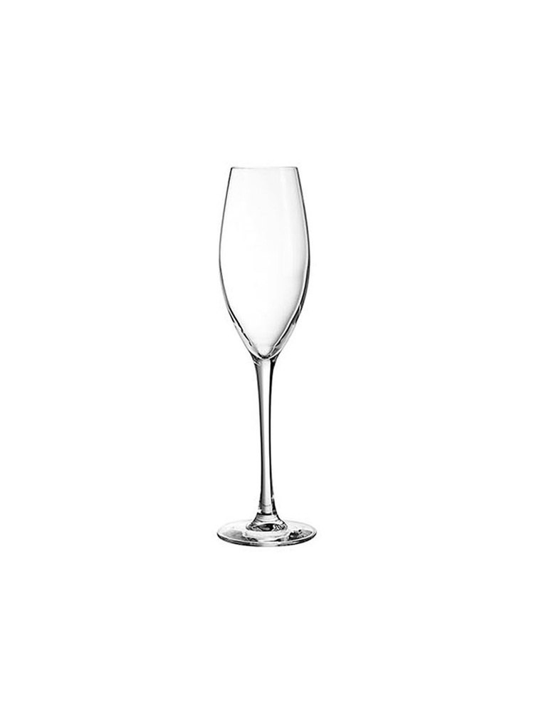 CdA Набор бокалов WINE EMOTIONS  для шампанского, 240 мл #1