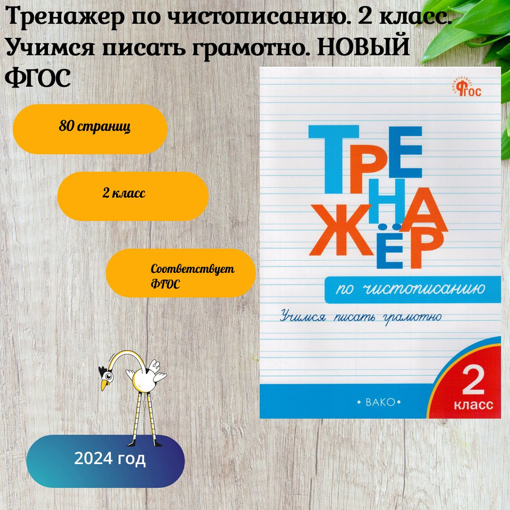 Тренажер по чистописанию. 2 класс. Учимся писать грамотно. | Жиренко Ольга  Егоровна - купить с доставкой по выгодным ценам в интернет-магазине OZON  (270993678)