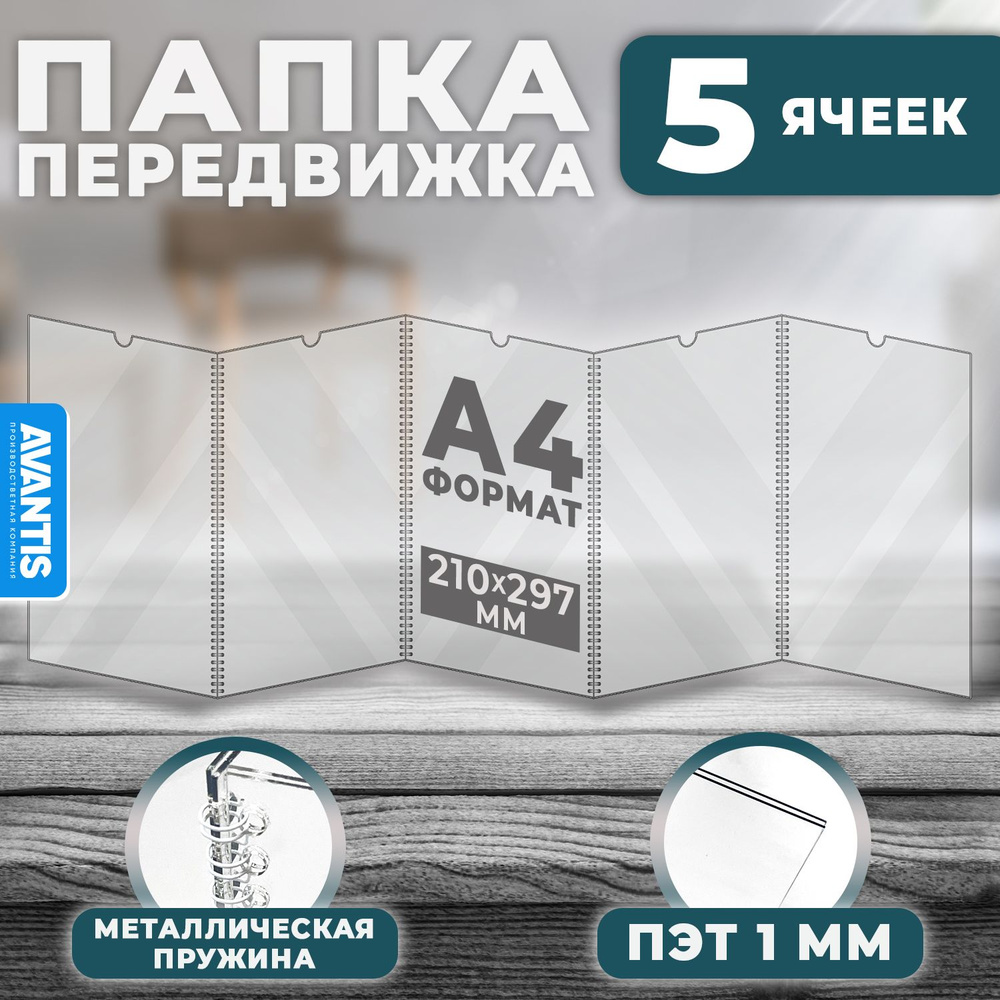 Папка передвижка /гармошка на 5 секций формата А4, ПЭТ 1 мм, Avantis  #1