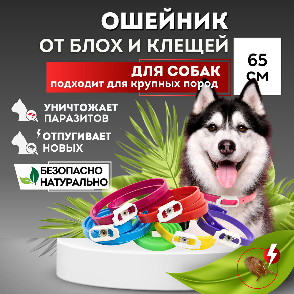 Ошейник от блох и клещей для собак средних и крупных пород 65 см Good Dog  БИО репелленты от комаров и клещей - купить с доставкой по выгодным ценам в  интернет-магазине OZON (533294815)