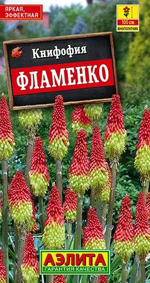 Семена Книфофия ягодная Фламенко (30 семян) - Агрофирма Аэлита  #1