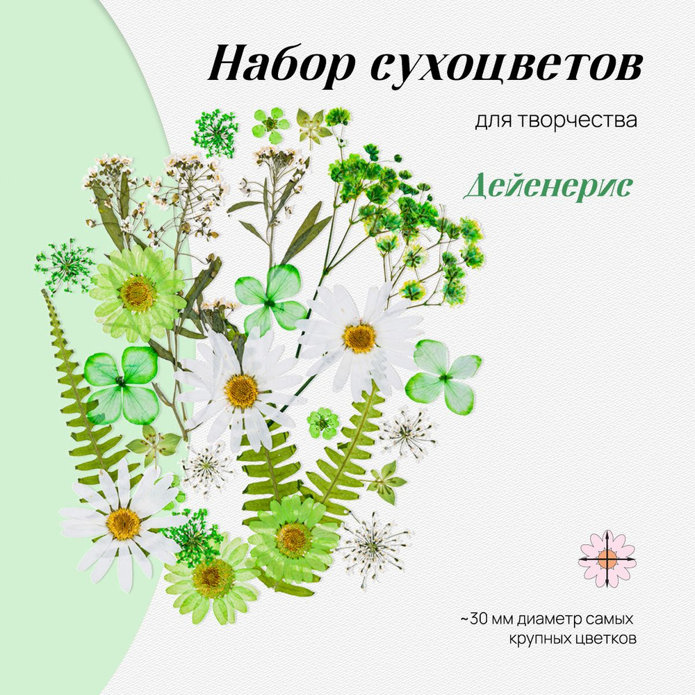 Набор натуральных сухоцветов цветов для творчества, декора, 30 шт., размер набора - 14*10 см/ сухоцветы #1