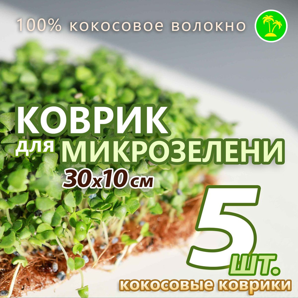 Набор для выращивания EcoFactory Prometey, Микрозелень, Однолетник купить  по выгодной цене в интернет-магазине OZON (400113755)