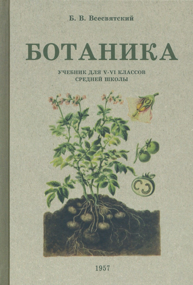 Ботаника. Учебник для 5-6 классов средней школы. 1957 год | Всесвятский ...