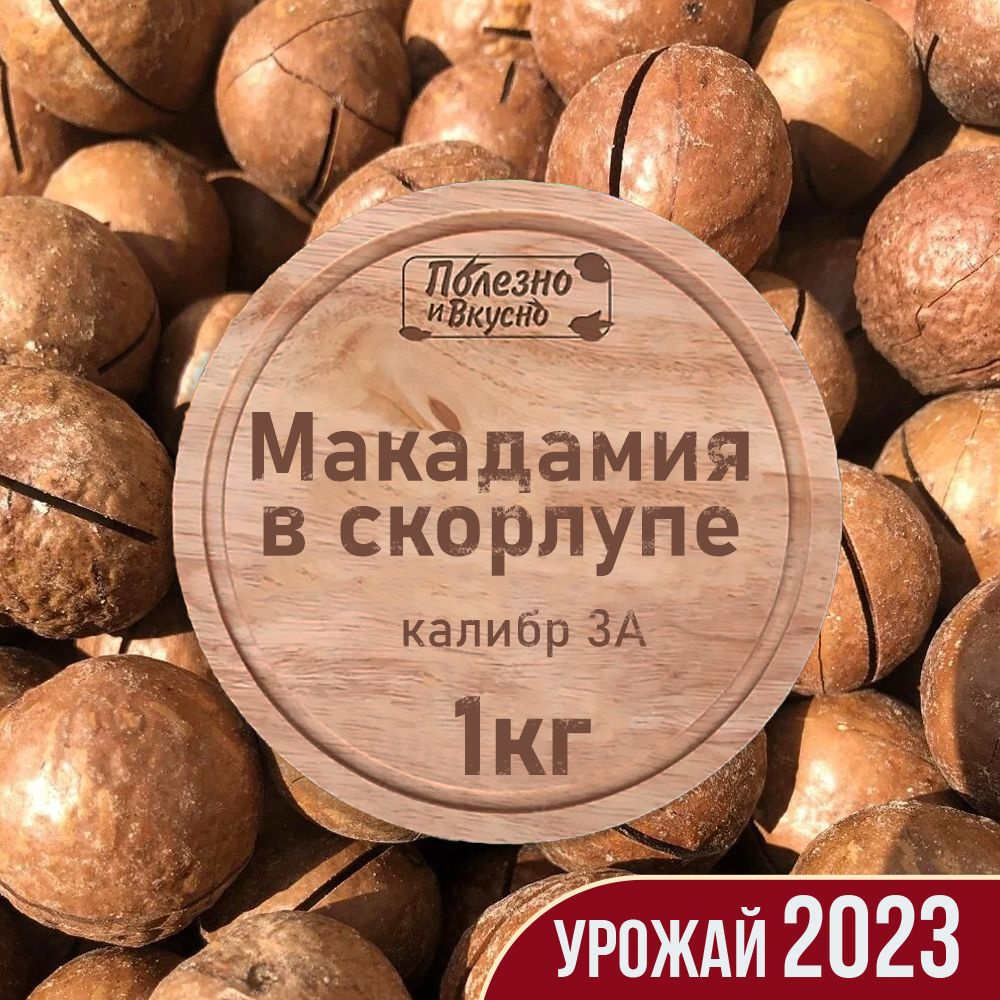 Макадамия орех в скорлупе 3а (2 ключа в комплекте), Полезно и Вкусно!, в  ванильном сиропе, 1 кг / 1000гр - купить с доставкой по выгодным ценам в  интернет-магазине OZON (370907394)