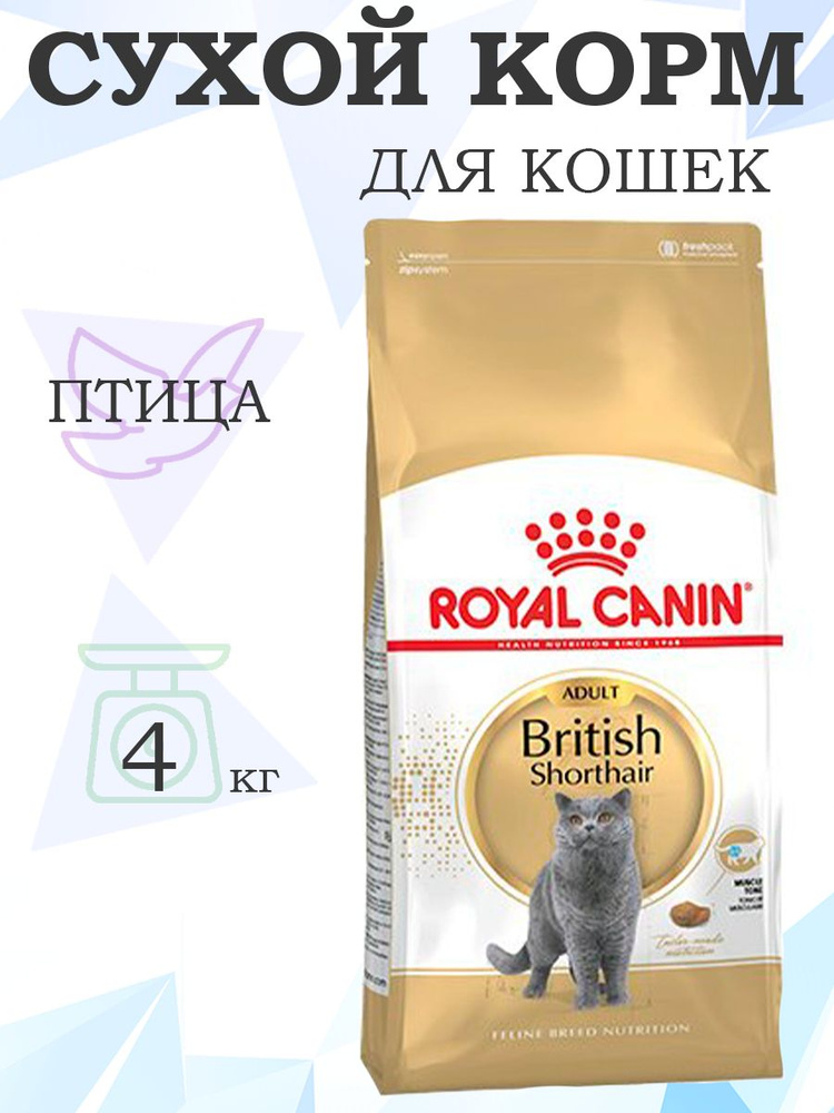 Royal Canin Breed cat British Shorthair / Роял Канин корм для кошек сухой породы Британская короткошерстная, #1