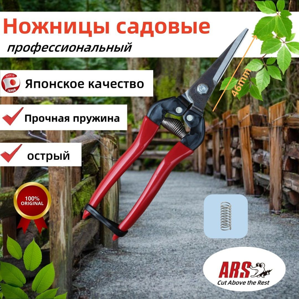ARS Секатор #1