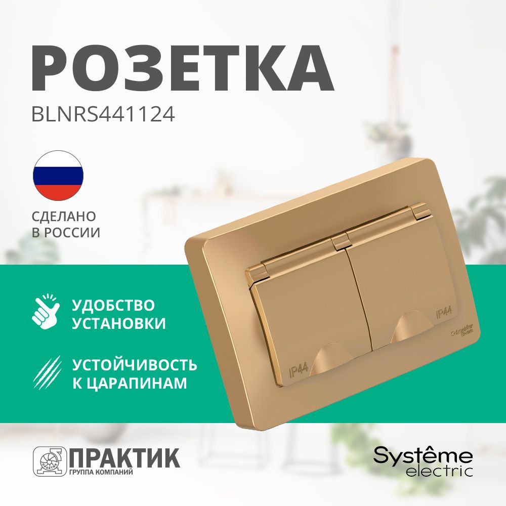 Розетка влагозащищенная двухместная с крышкой Blanca Systeme Electric IP44 с заземлением и защитными #1