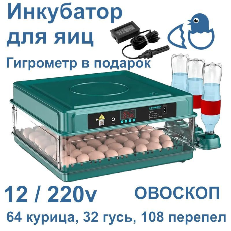 Инкубатор для яиц D купить на OZON по низкой цене (1888967361)