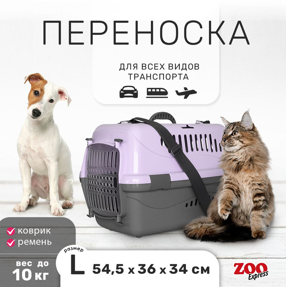 Клиппер-переноска для кошек и собак ZOOexpress Турне 54,5х36х34 см (L), с прозрачной дверцей, КОВРИК #1