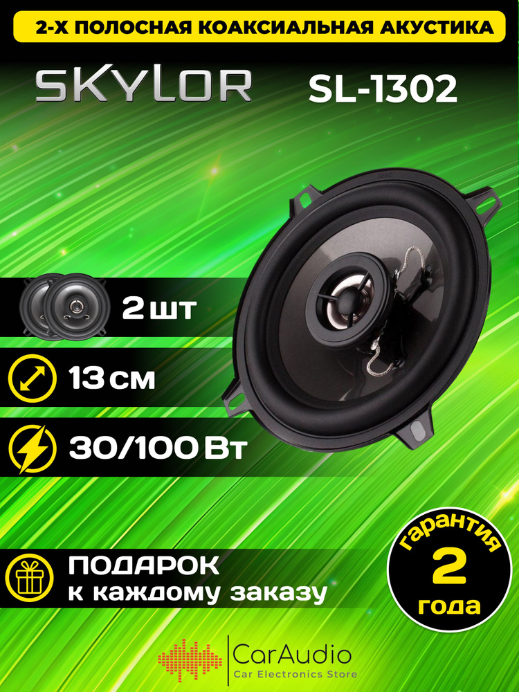 Колонки для автомобиля Skylor SLIM 1302 #1