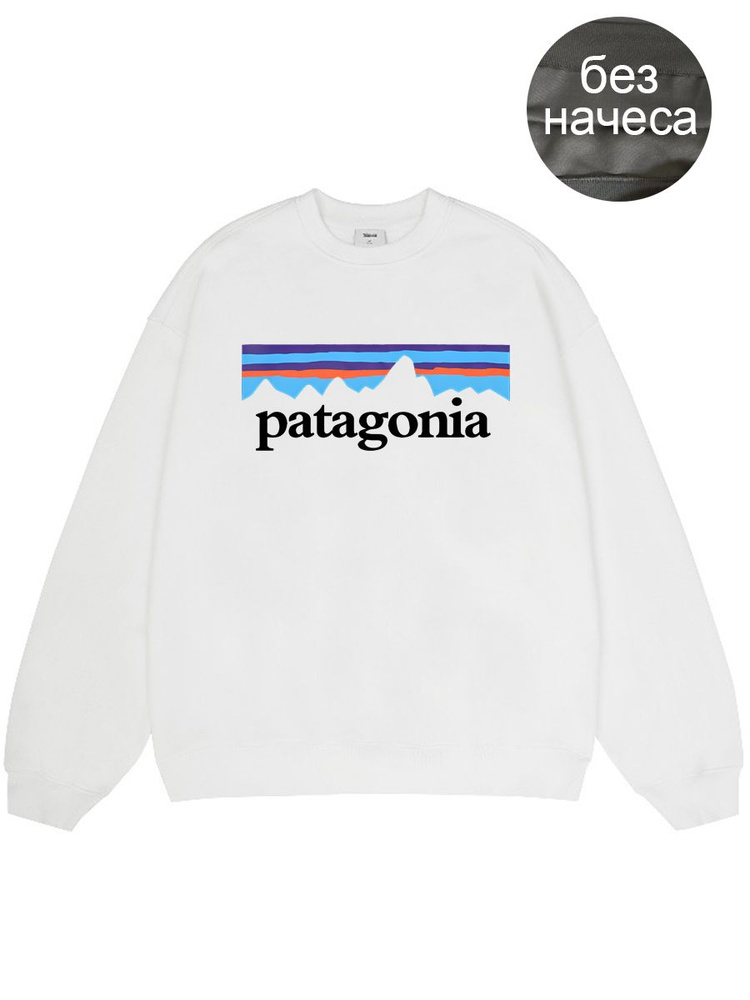 Толстовка Patagonia #1