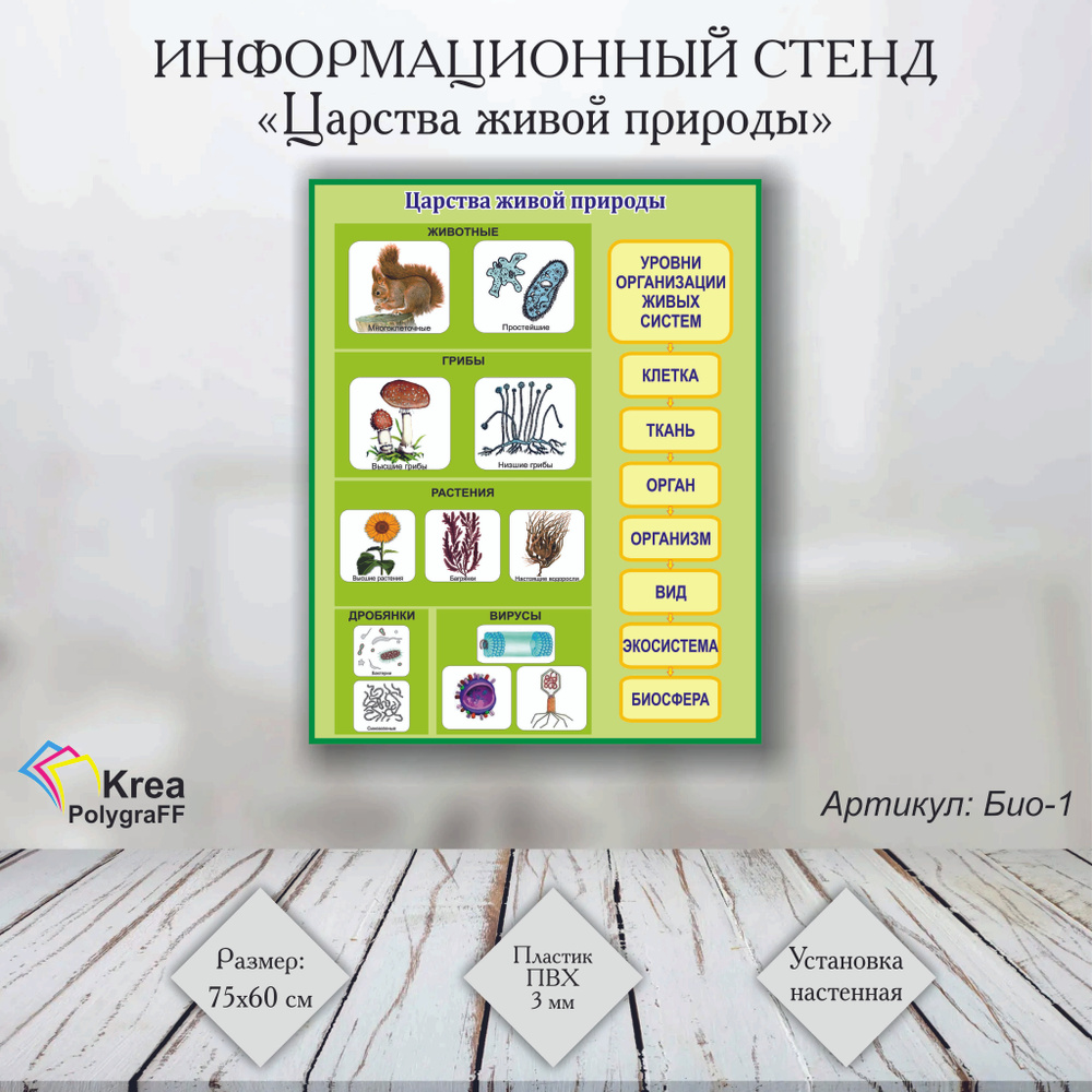 Стенд "Царства живой природы " (Био-1) 75х60 см, Информационный стенд по биологии, живая природа  #1