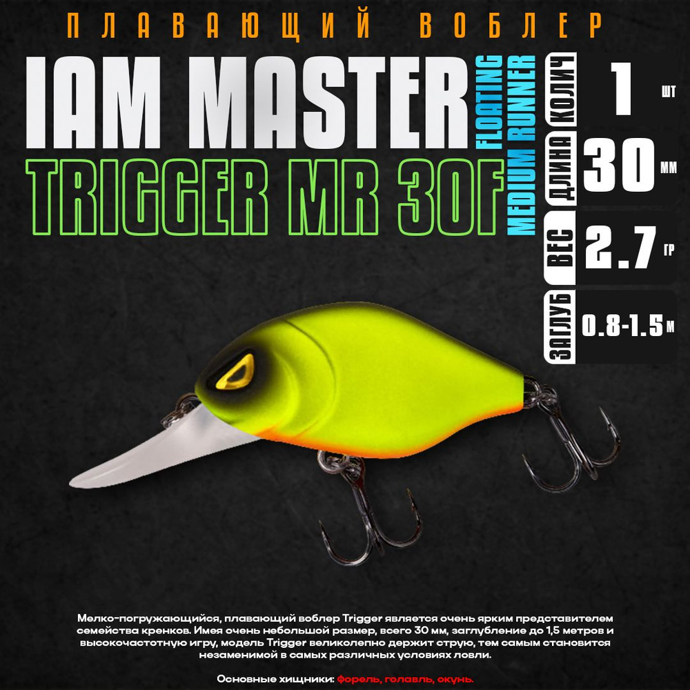 Воблер для рыбалки Iam Master TRIGGER MR 30F #M21, 30 мм, 3.0 гр, плавающий, до 1.5 м / Приманки на форель #1