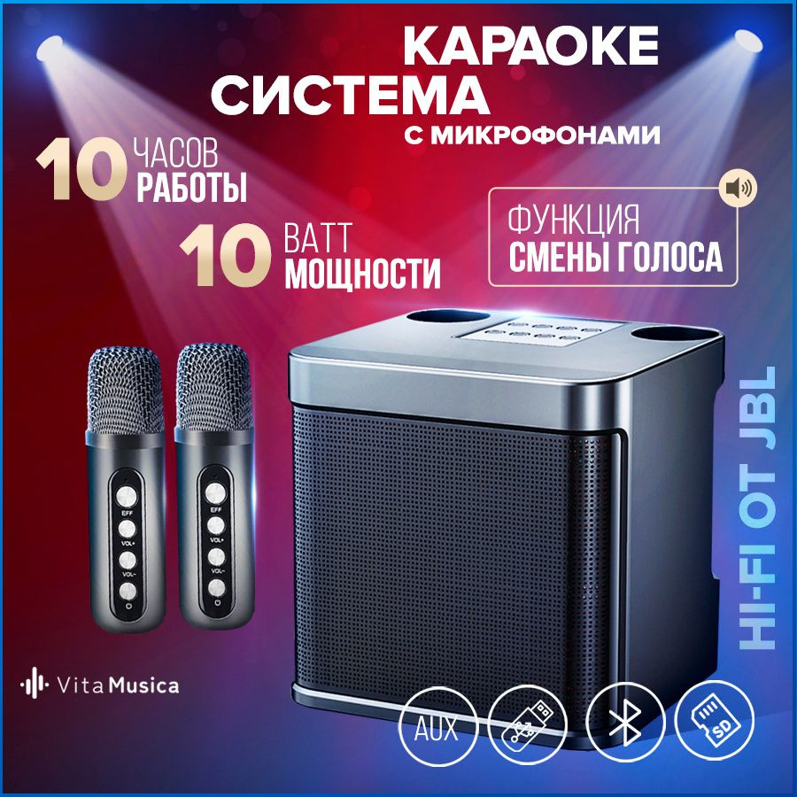 Караоке система Vita Musica с двумя беспроводными микрофонами купить на ...