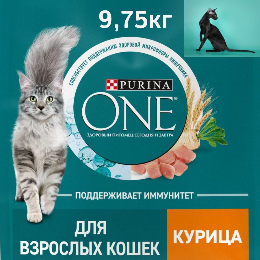 Сухой корм Purina One для взрослых кошек с курицей, 9,75 кг #1