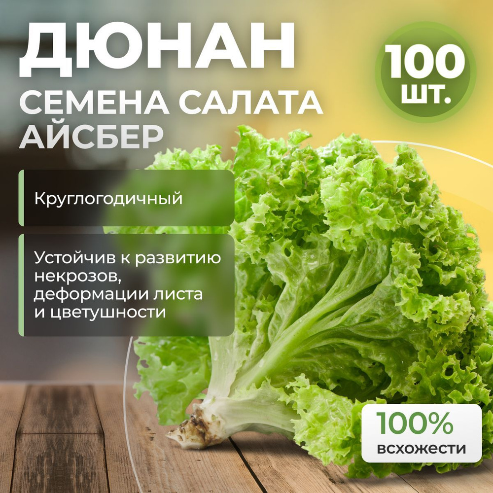 Дюнан семена салата айсберг, 100 шт. (Rijk Zwaan / ALEXAGRO). Высокоурожайный гибрид для открытого грунта #1