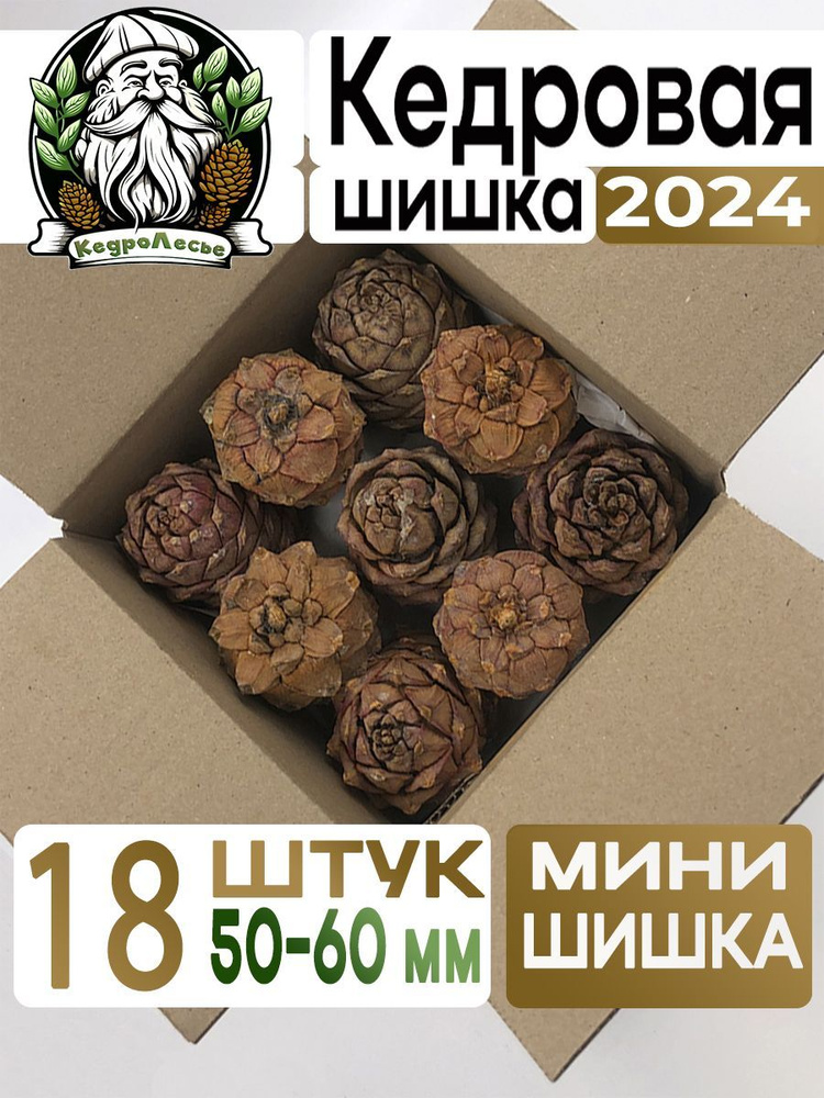 Кедровая шишка с орехом 18 штук ( Мини Шишка ) #1