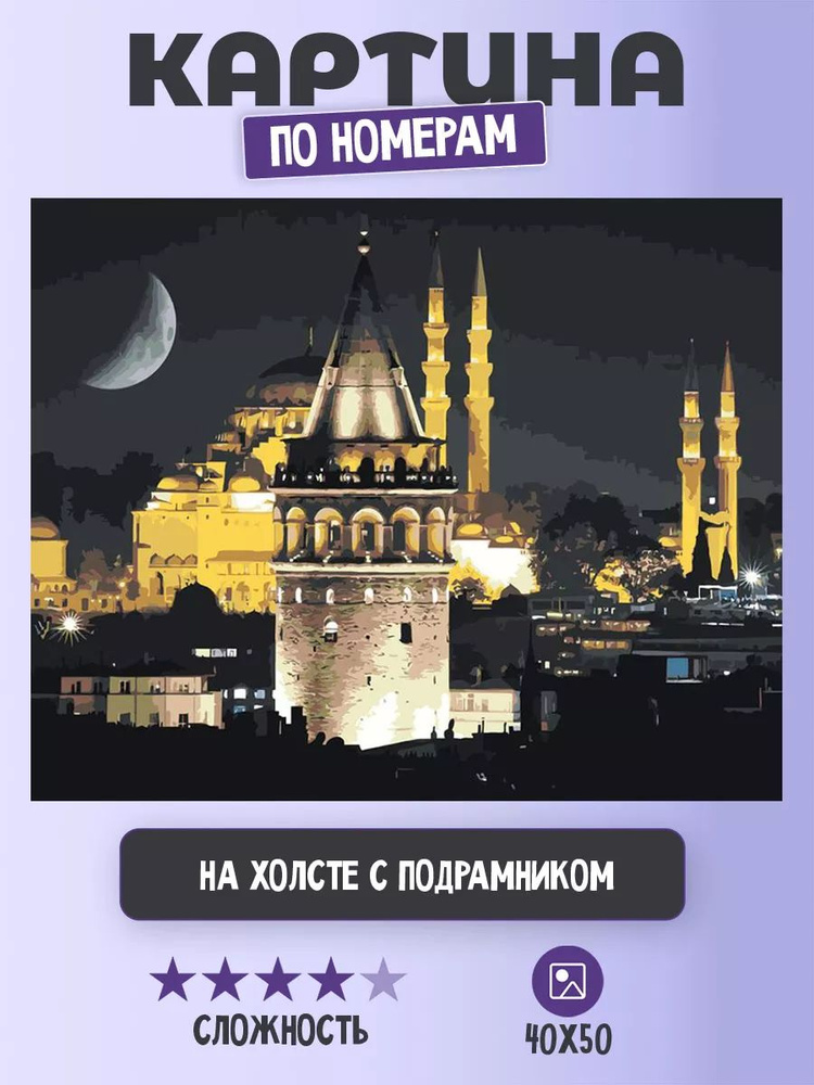 Картина по номерам Цветное на холсте с подрамником "Стамбул, Турция: Галатская башня и мечеть" Раскраска #1
