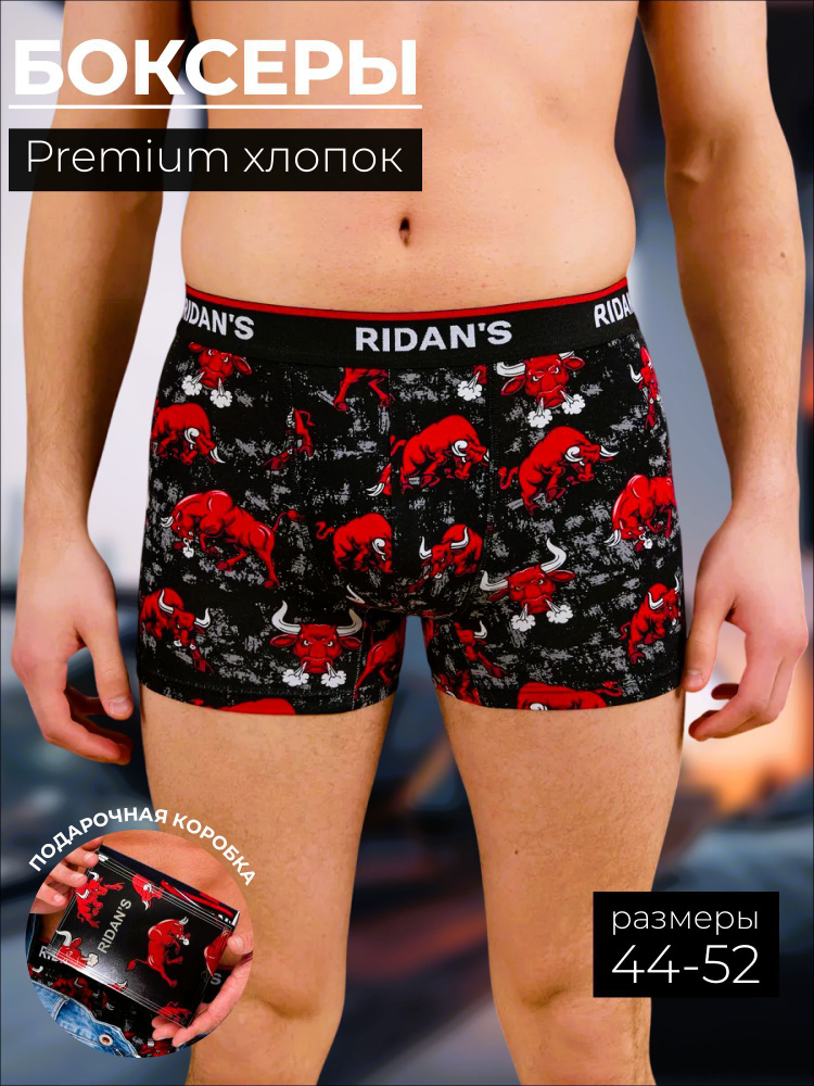 Трусы боксеры RIDAN'S, 1 шт #1