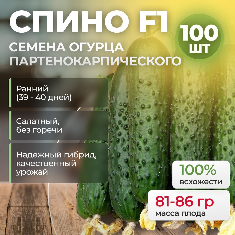 Спино F1 семена огурца ранние, 100 шт. (Syngenta / ALEXAGRO). Высокоурожайный, партенокарпический гибрид #1