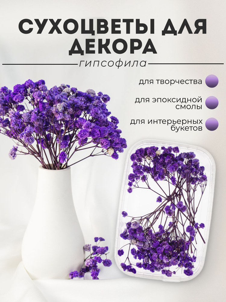 Натуральные сухоцветы для декора гипсофилы, фиолетовые #1